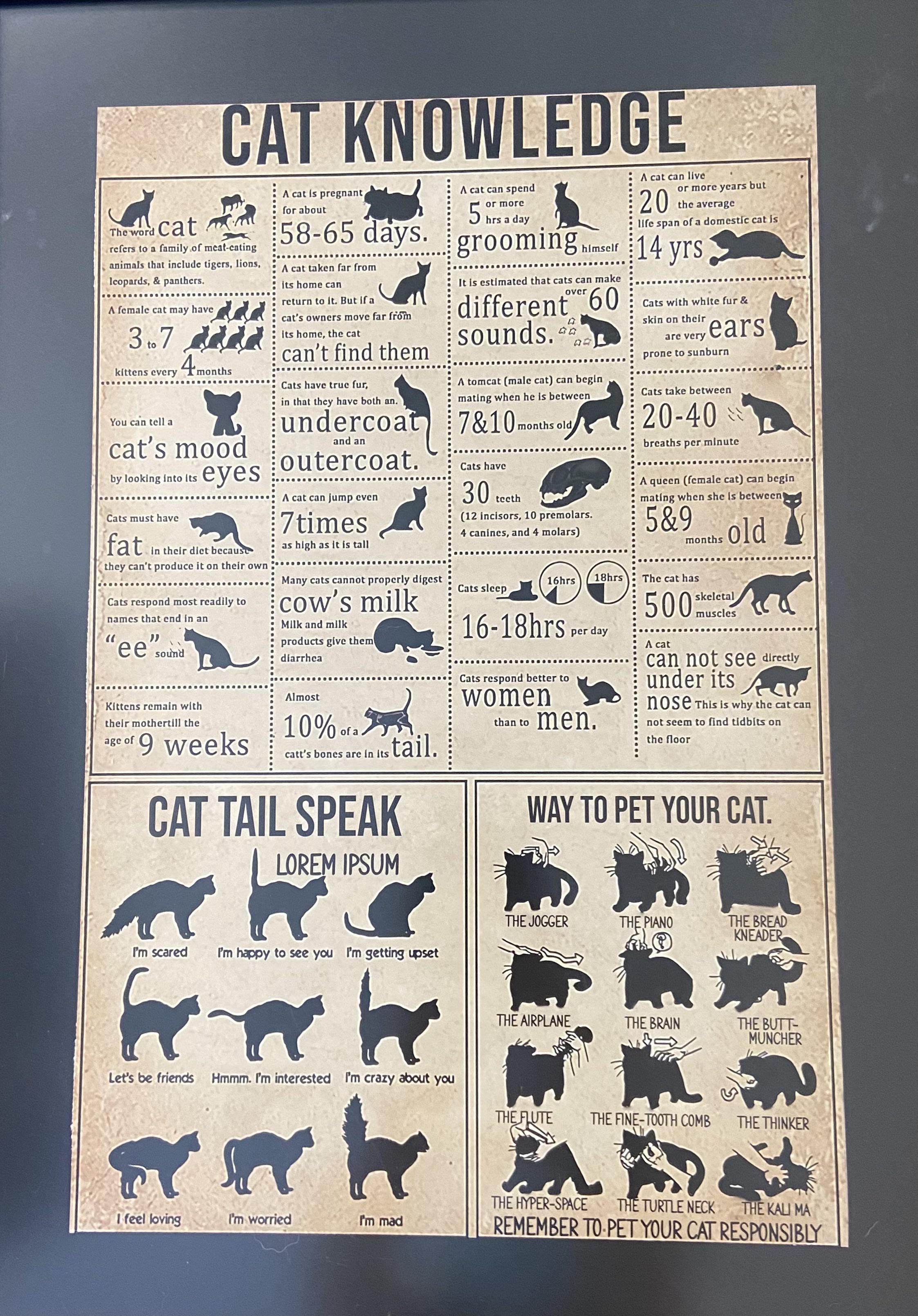 cat knowledge guide chart
